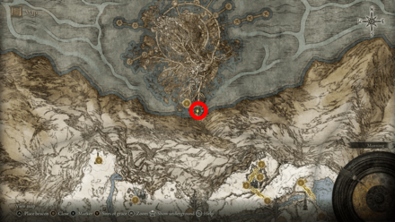 Elden Ring - Picked up in Miquella