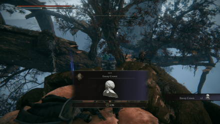 Elden Ring - Picked up in Miquella