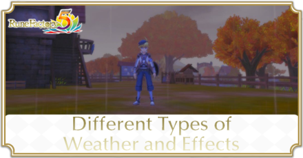 Different Types of Weather and Effects