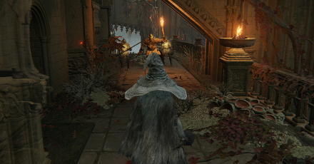 Elden Ring - Dropped by Foot Soldiers at the Halig Tree