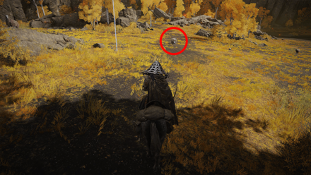 Elden Ring - Scarab 54 World View