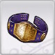 Rune Factory 5 - Champ Belt