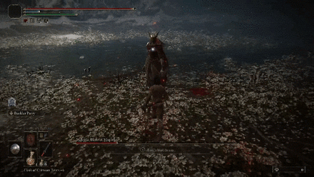 Malenia Multi Slash Parry