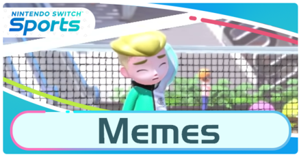 Nintendo Switch Sports - Memes Board.png
