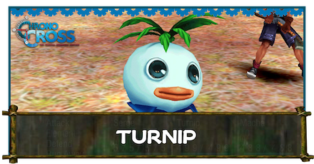 Turnip Banner