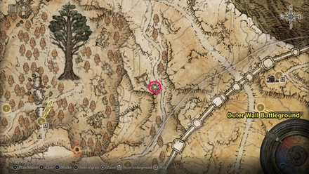 Altus Plateau Lion Guardian Location