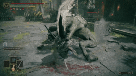 Claw Swipe - Lion Guardian