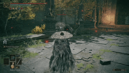 Sword Swipe - Lion Guardian