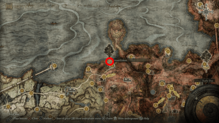 Elden Ring - Erdtree Avatar Caelid Map Location