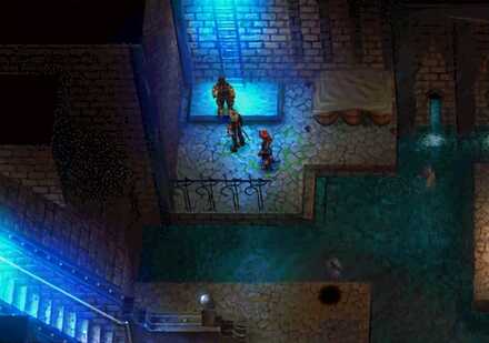 Viper Manor Sewer Ladder