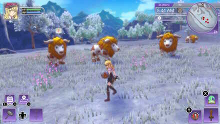 Rune Factory - Buffamoo Icon