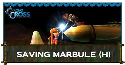 Saving Marbule.jpg