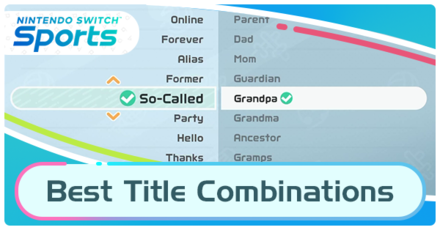 Switch Sports Best Title Combinations