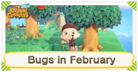 Animal Crossing New Horizons (ACNH) - Bugs in February