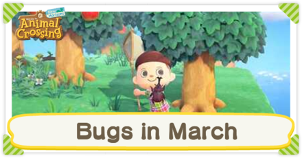 Animal Crossing: New Horizons (ACNH) - Bugs in March
