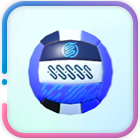 Official Volleyball (Blue)