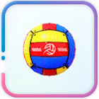 Tricolor Volleyball