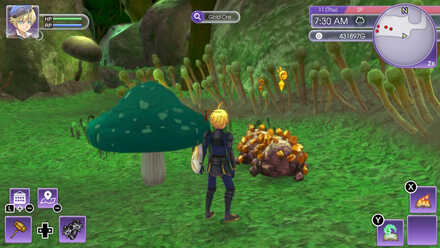 Rune Factory 5 - Gold Location