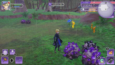 Rune Factory 5 - Amethyst Location