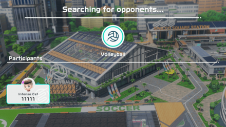 Nintendo Switch Sports - Volleyball - Team Up with Random Player