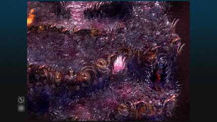 Carapace Chrono Cross Remaster