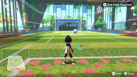 Free Practice Summon Ball