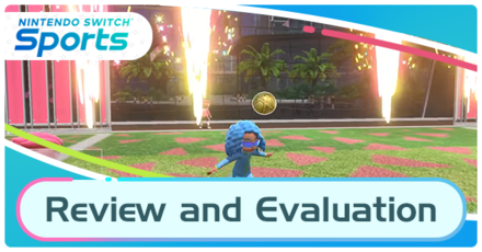 Switch Sports Review and Evaluation