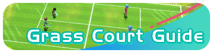 Switch Sports - Grass Court Guide