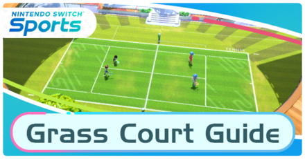 Nintendo Switch Sports - Grass Court Guide
