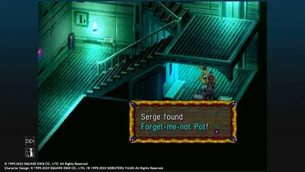 Forget-me-not Pot.jpg