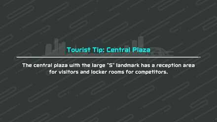 Nintendo Switch Sports - Tourist Tip - Others 2