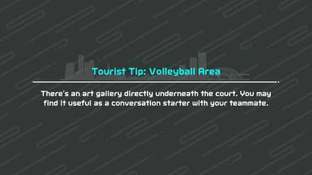 Nintendo Switch Sports - Tourist Tip - Volleyball 1