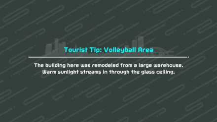 Nintendo Switch Sports - Tourist Tip - Volleyball 2