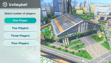 Switch Sports - Select Number of Players