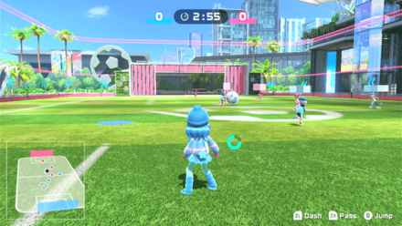 Soccer Standard Goal