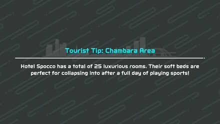 Nintendo Switch Sports - Tourist Tips - Chambara 2