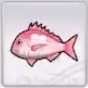 Rune Factory 5 - Throbby Snapper