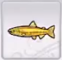Rune Factory 5 - Golden Salmon