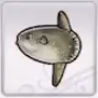 Rune Factory 5 - Sunfish