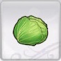 Rune Factory 5 - Cabbage