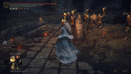 How to Use Placidusax