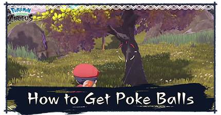 How to Get Poke Balls.png