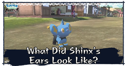 What Did Shinx
