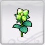 Rune Factory 5 - Green Crystal Flower