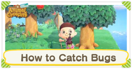 Animal Crossing New Horizons (ACNH) - How to Catch Bugs