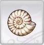 Rune Factory 5 - Ammonite