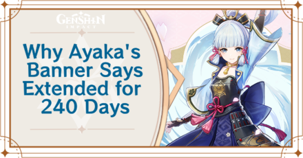 Genshin Impact - Why Ayaka