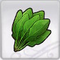 Rune Factory 5 - Sovereign Spinach