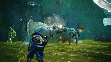 MH Rise Sunbreak - Thornytoad Attack