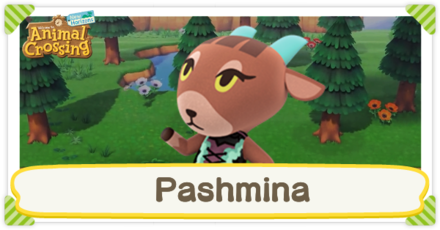 ACNH - Pashmina Birthday and Personality